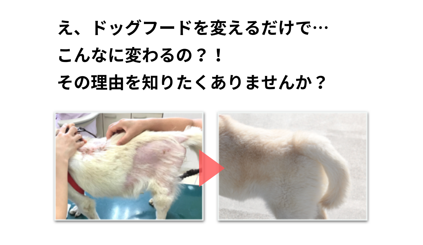 ベースフード75