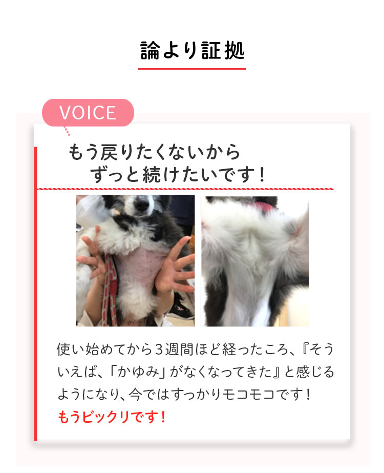 ペットリコ,ニコわん