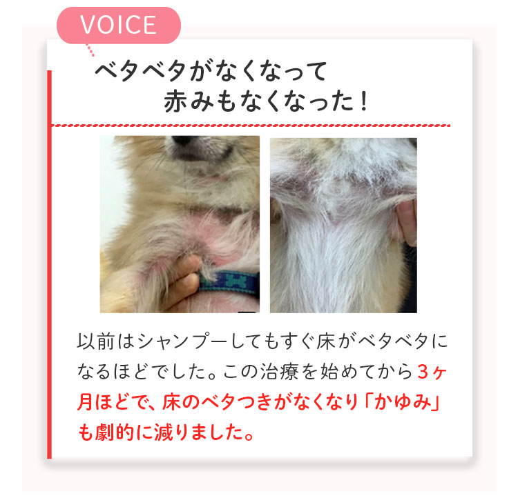 ペットリコ,ニコわん