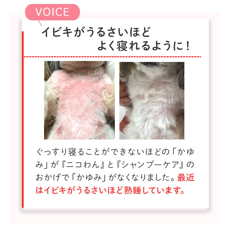 ペットリコ,ニコわん