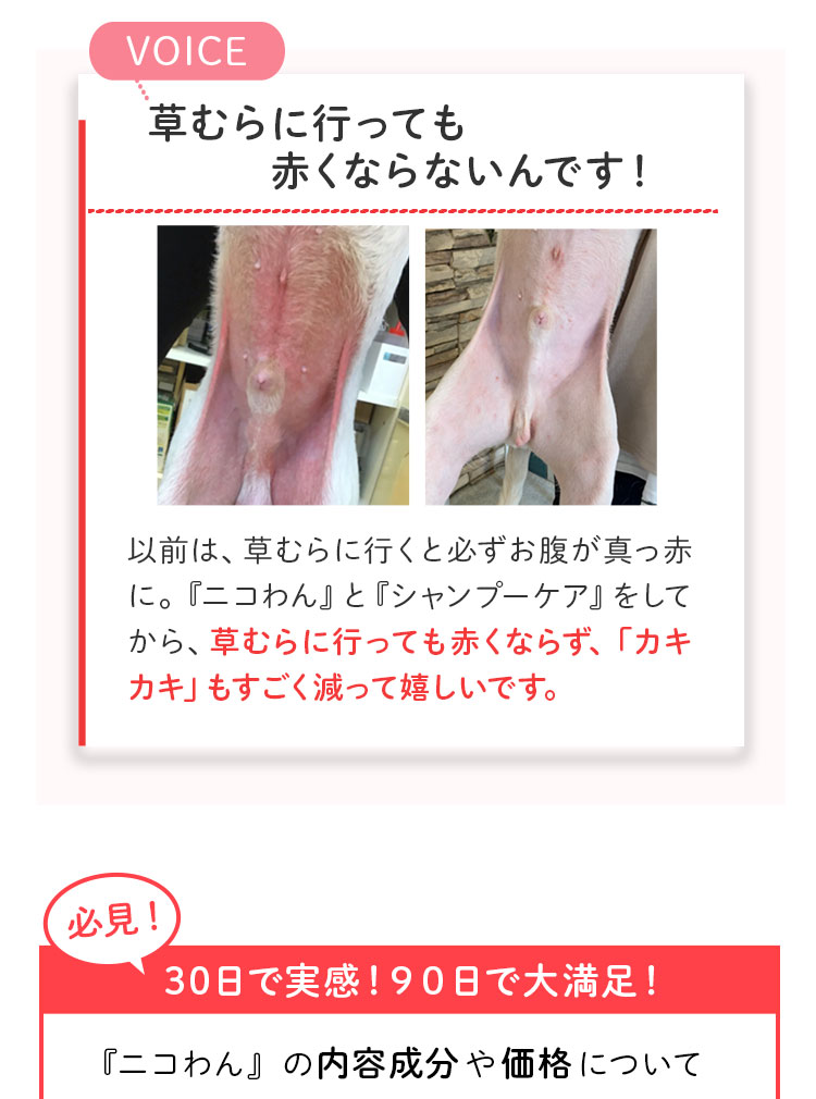 ペットリコ,ニコわん