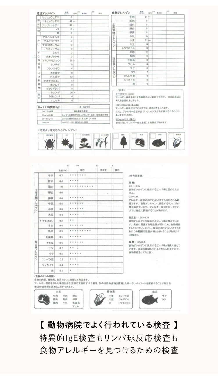 ペットリコ,ニコわん