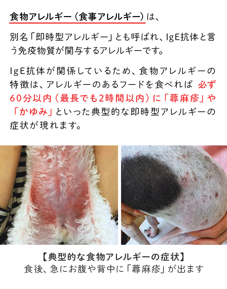 ペットリコ,ニコわん