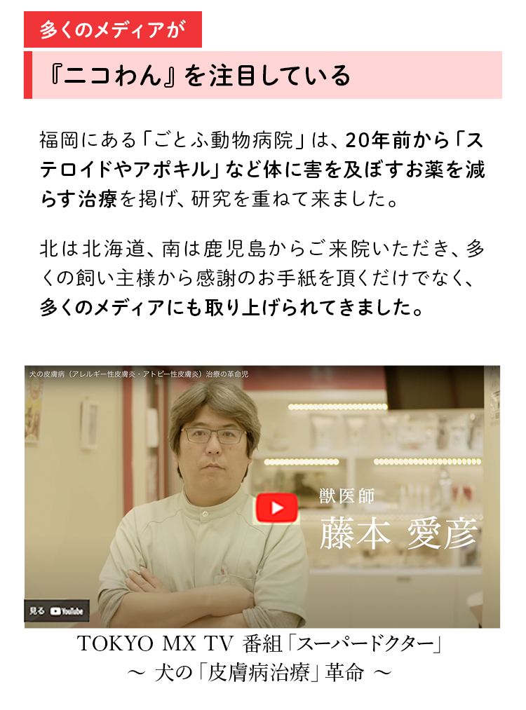 ペットリコ,ニコわん