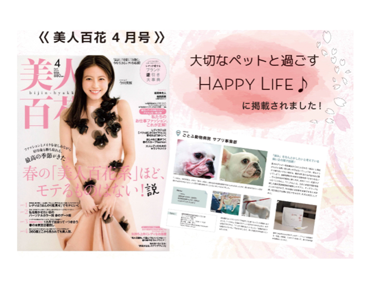 ペットリコ,ニコわん