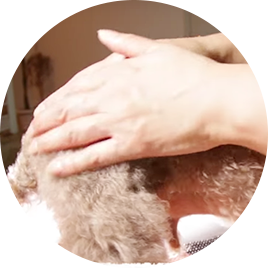 保湿オイル