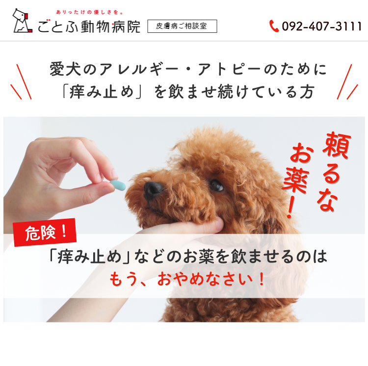 Description of Photo