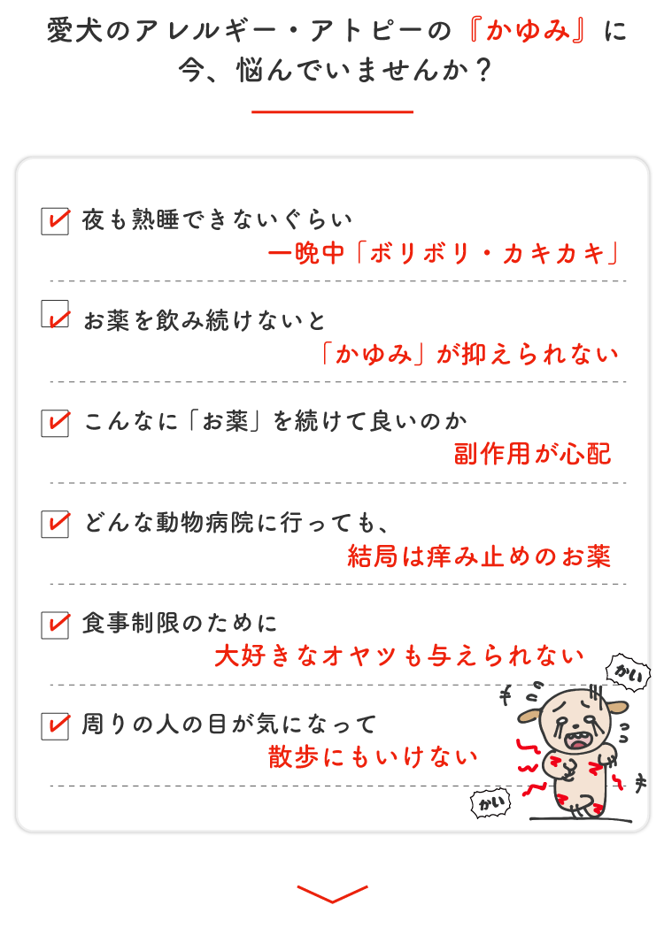 Description of Photo