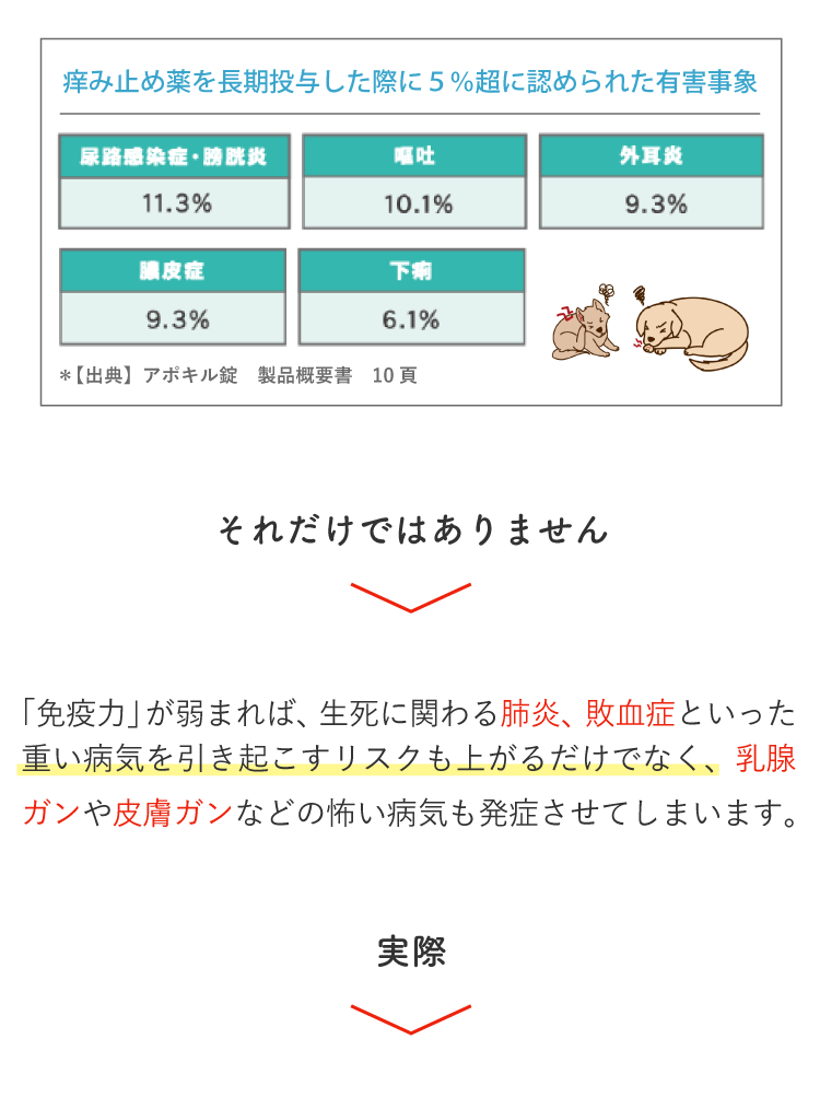 Description of Photo