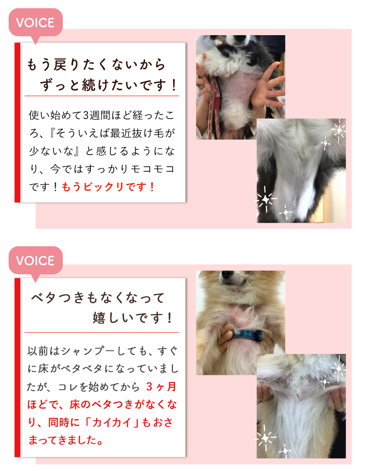 Description of Photo