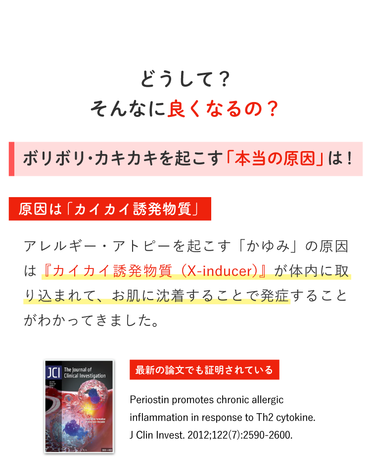 Description of Photo