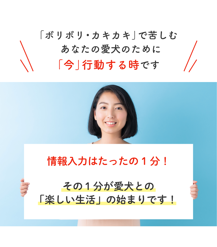 Description of Photo