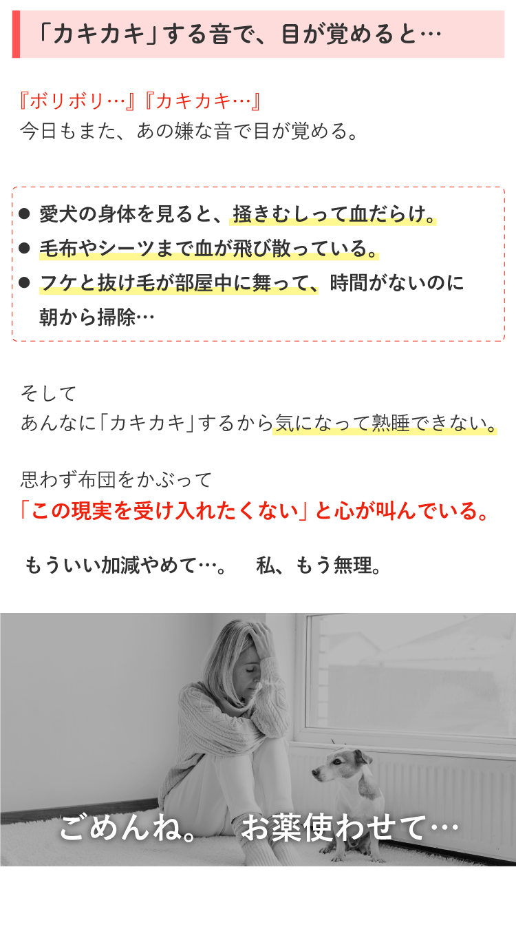 Description of Photo