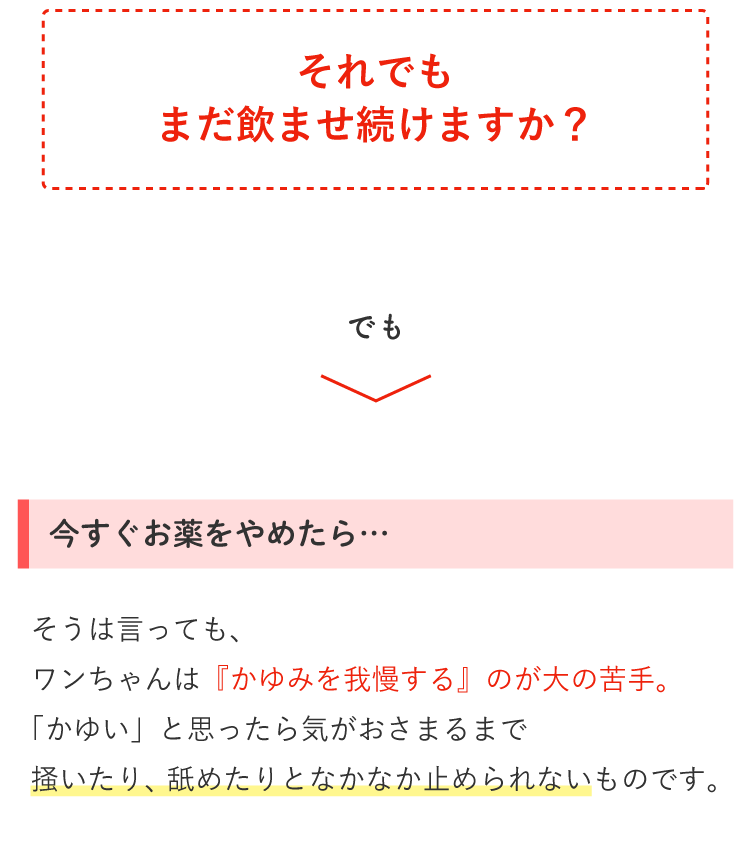 Description of Photo