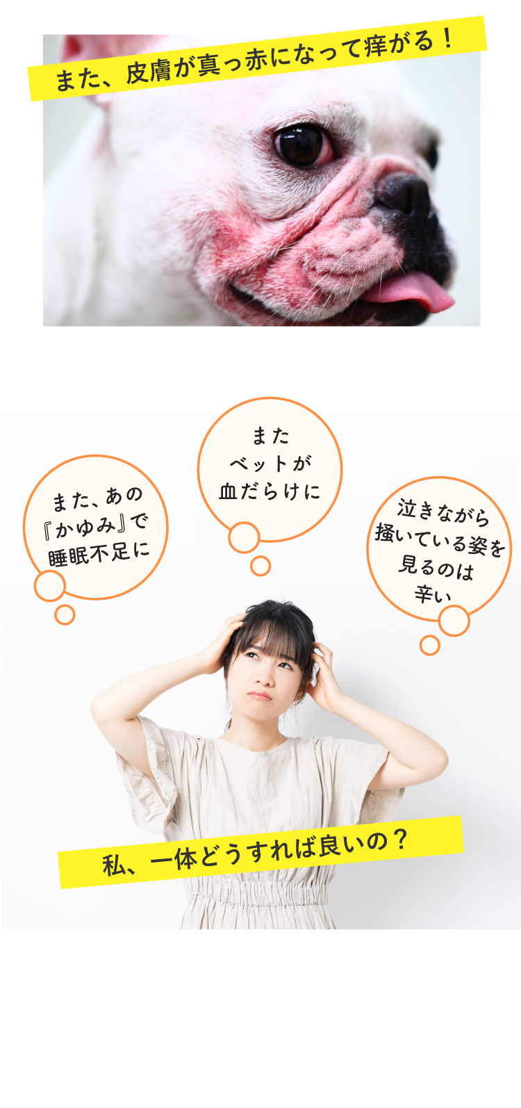 Description of Photo