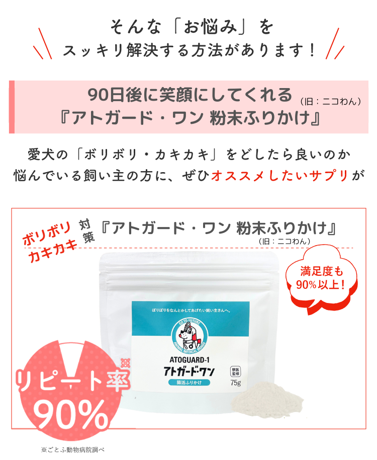 Description of Photo