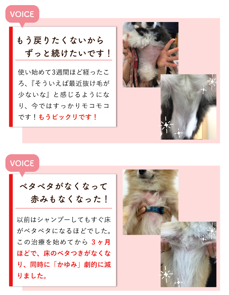 Description of Photo