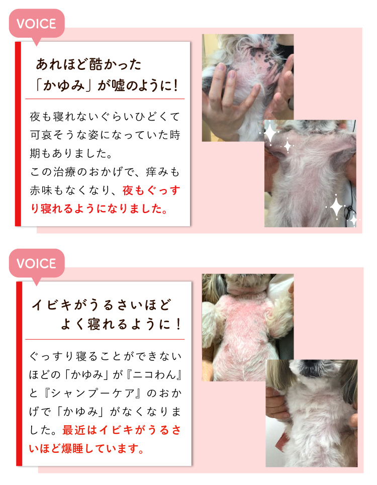 Description of Photo