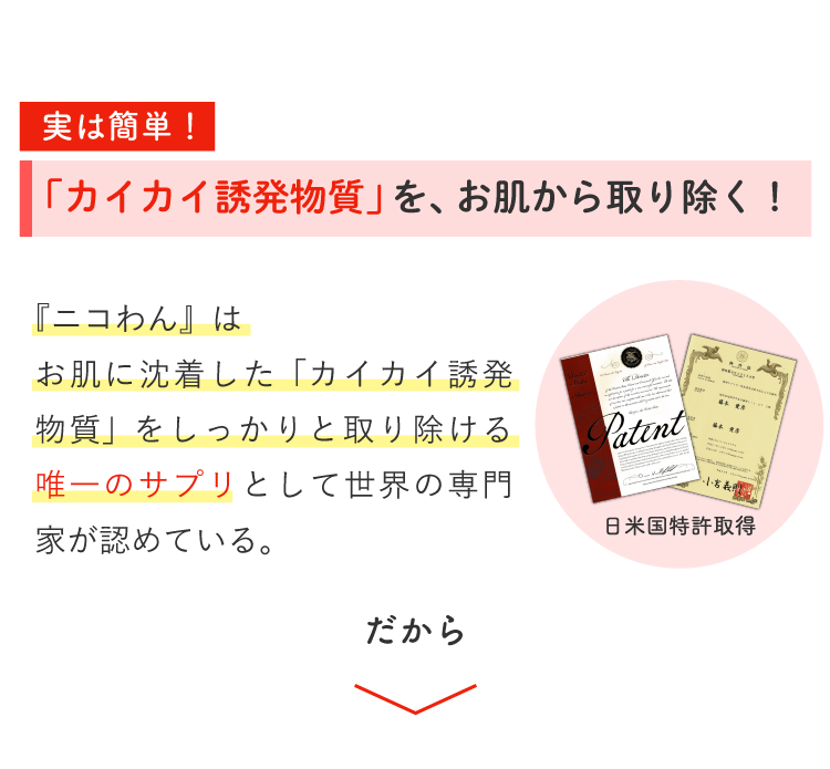 Description of Photo