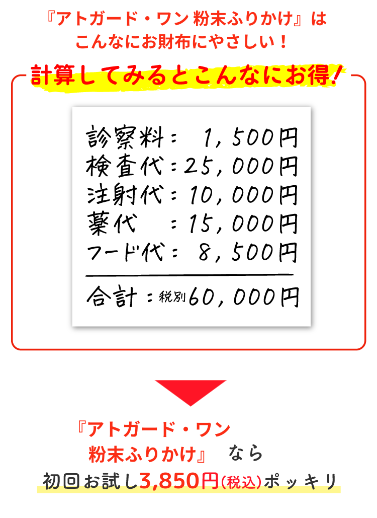 Description of Photo