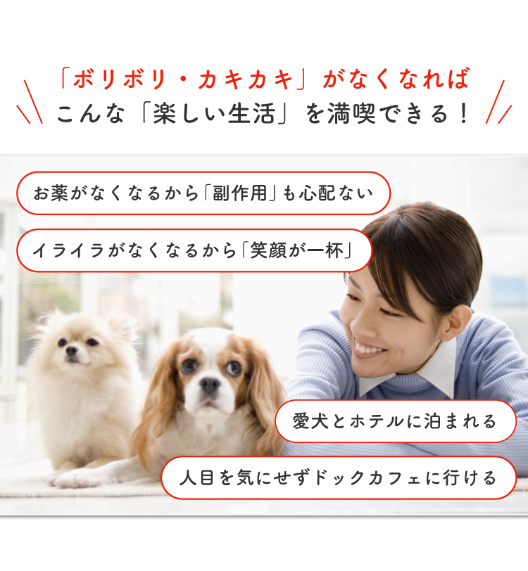 Description of Photo