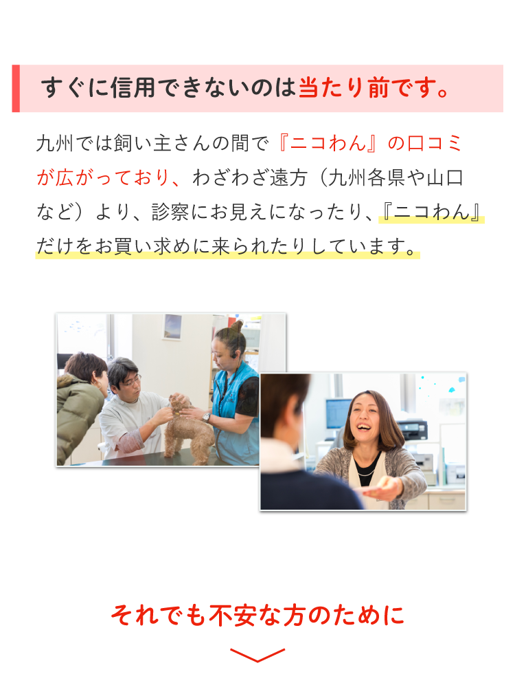 Description of Photo