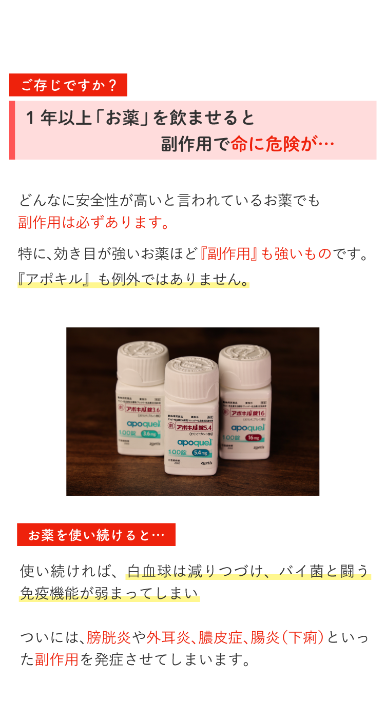 Description of Photo