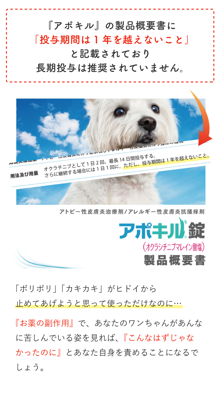 Description of Photo