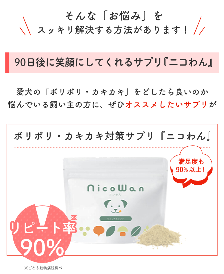 Description of Photo