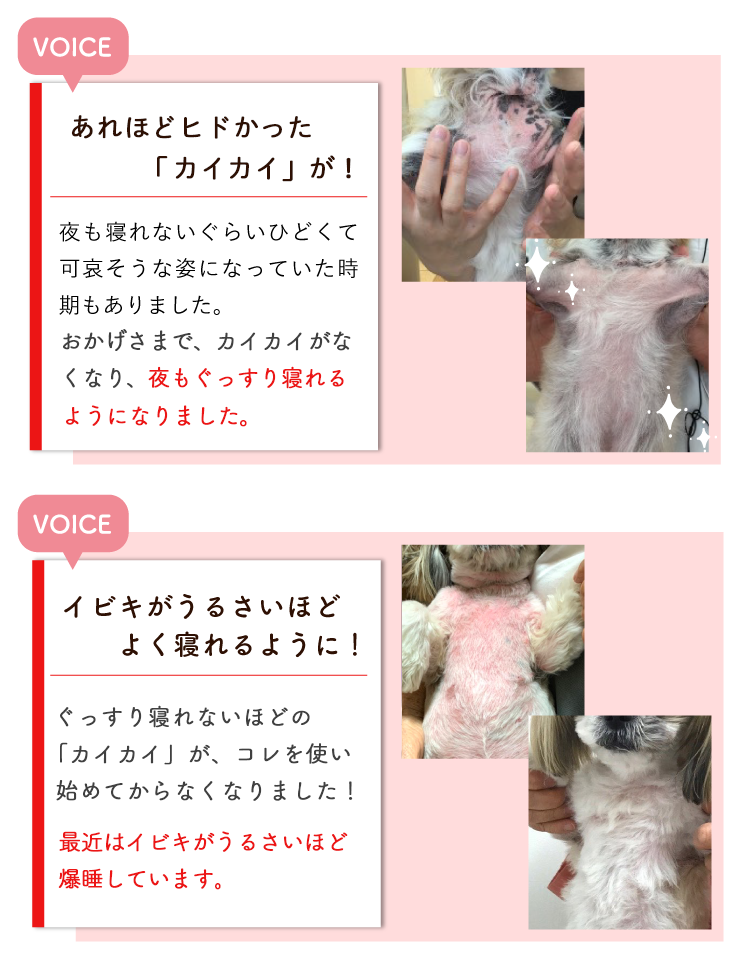 Description of Photo