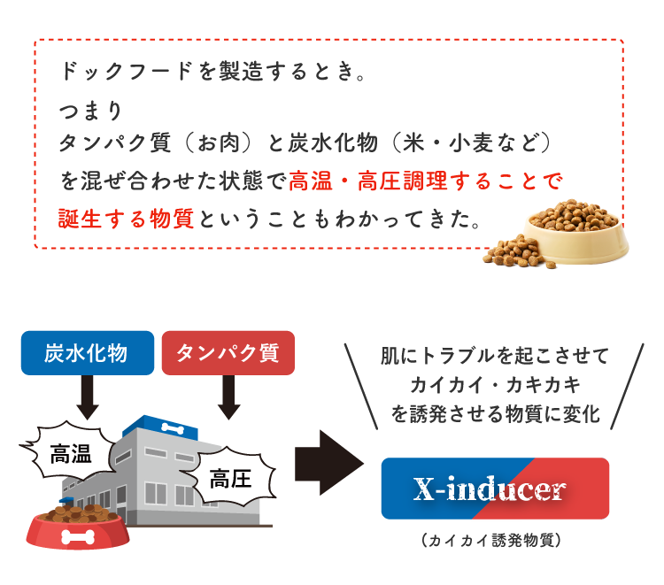 Description of Photo