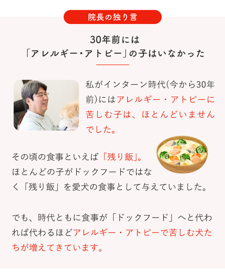 Description of Photo