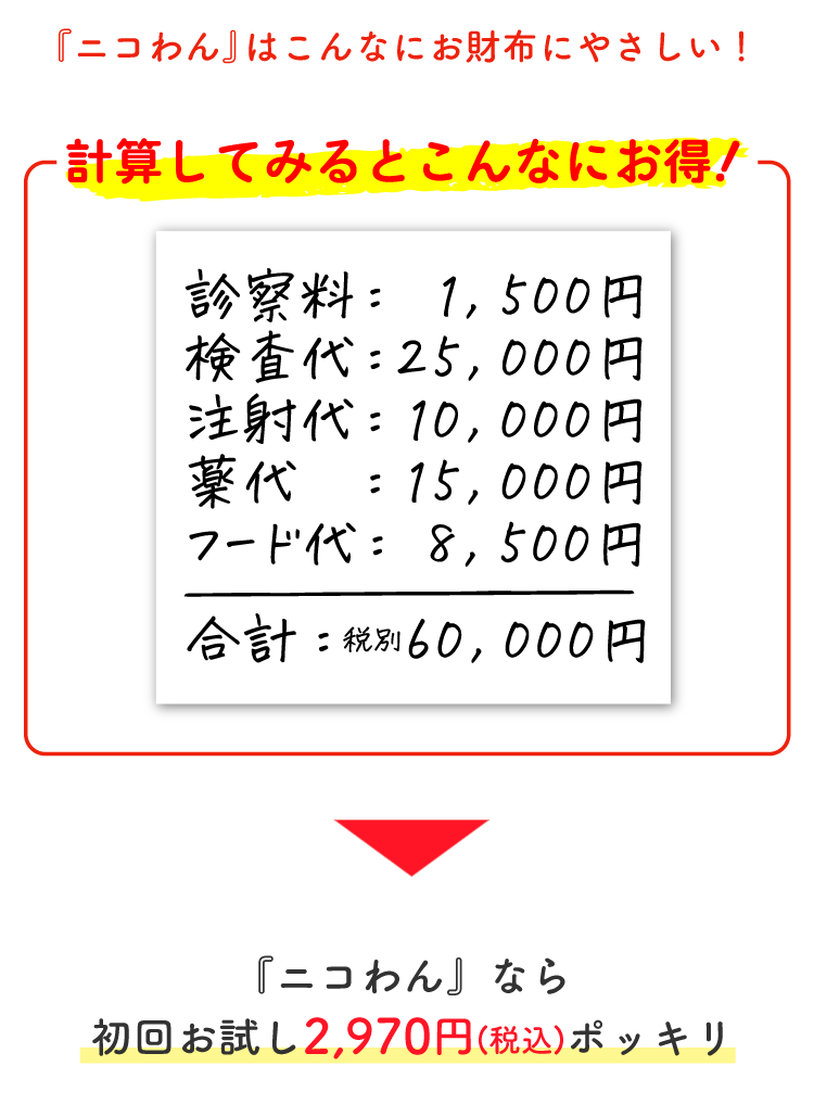 Description of Photo