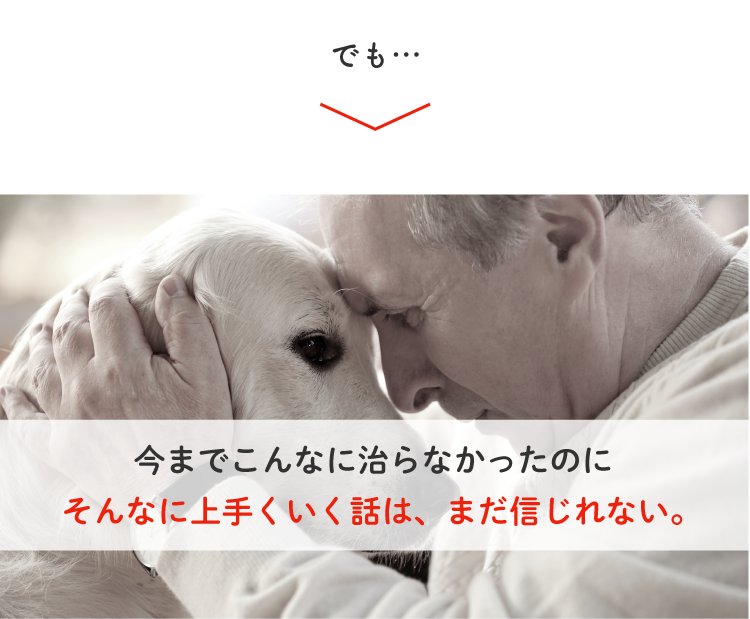 Description of Photo